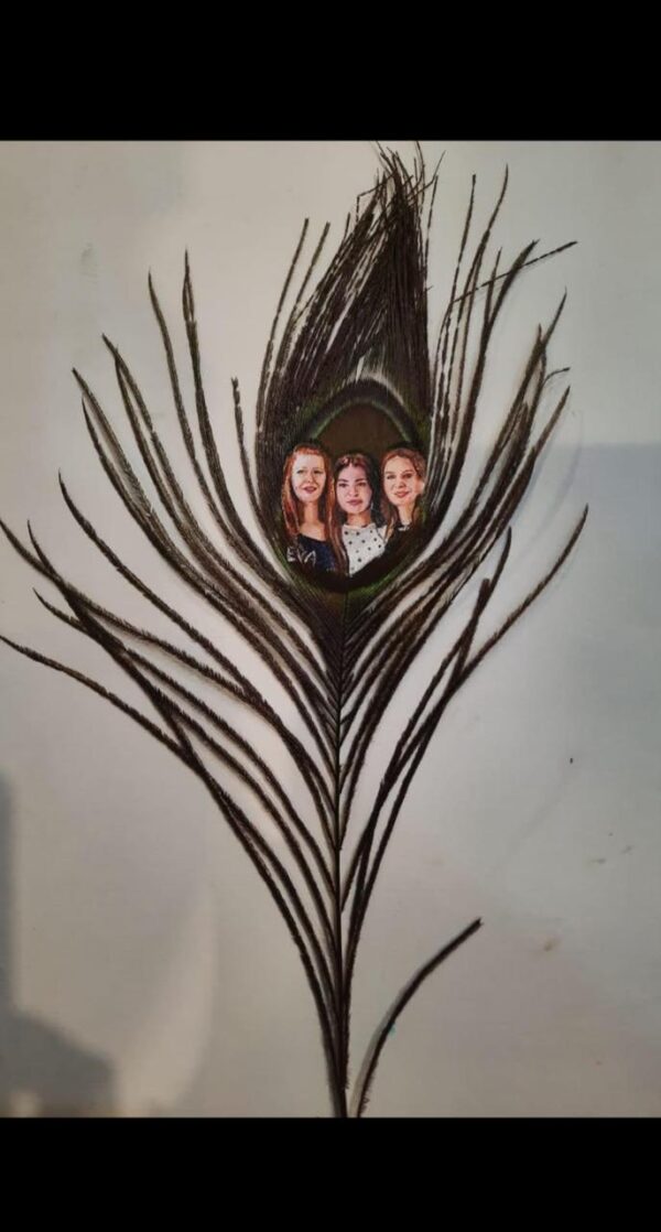 Peacock Feather Painting - Image 5